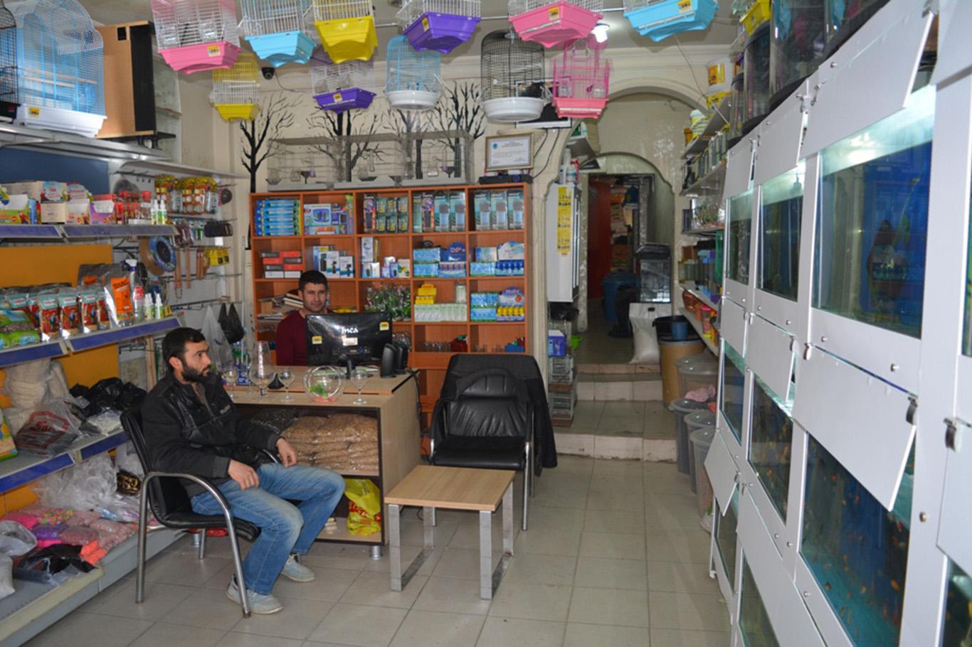 Süs tavuklarının fiyatı şaşırtıyor Süs tavuklarının fiyatı şaşırtıyor